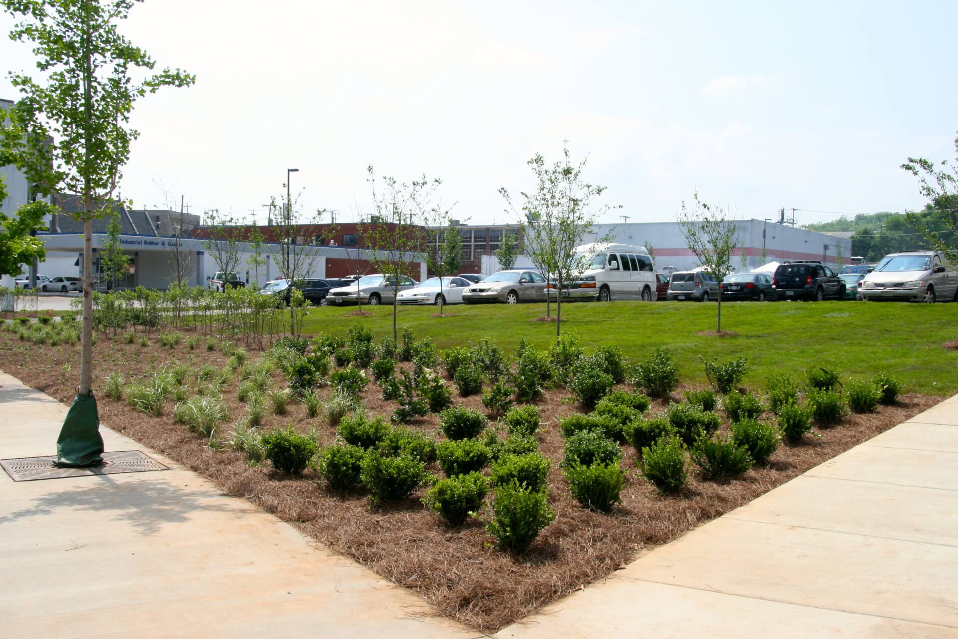 Nashville Rescue Mission with new landscaping and trees